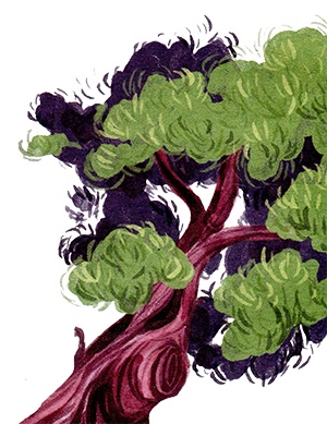 Иллюстрация к книге — Мой папа – мальчик [i_025.jpg]