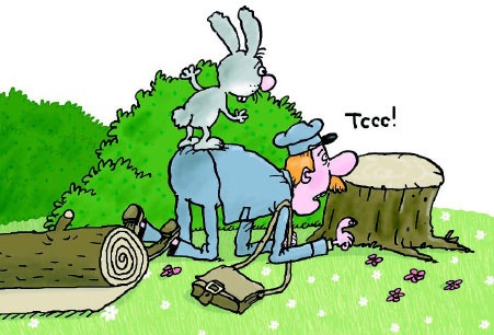 Иллюстрация к книге — Сказка с подробностями [i_042.jpg]