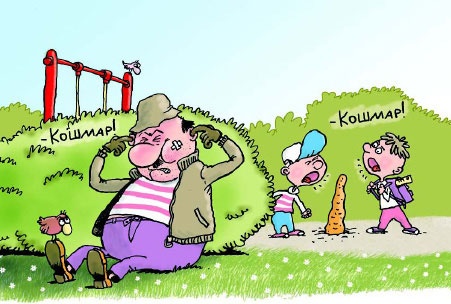 Иллюстрация к книге — Сказка с подробностями [i_072.jpg]