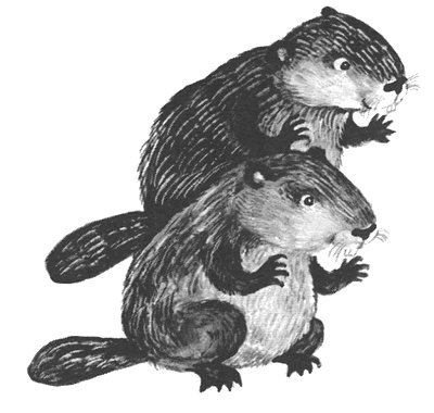 Иллюстрация к книге — Торпи [i_006.jpg]