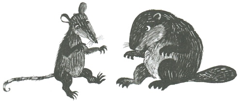 Иллюстрация к книге — Торпи [i_022.jpg]