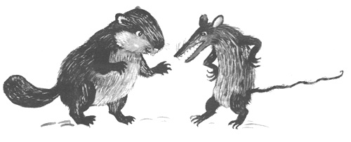 Иллюстрация к книге — Торпи [i_043.jpg]