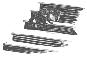 Иллюстрация к книге — Торпи [i_044.jpg]