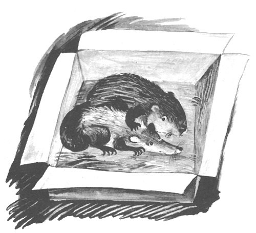 Иллюстрация к книге — Торпи [i_048.jpg]