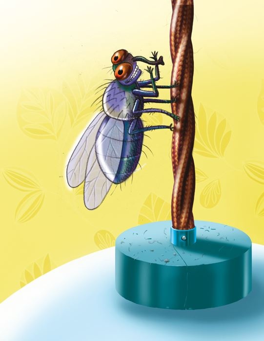 Иллюстрация к книге — Карнавал и картофельный салат [b00000544.jpg]