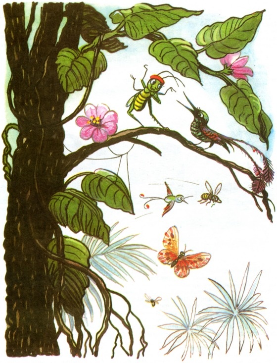 Иллюстрация к книге — Дневник кузнечика Кузи [dkk_p08.jpg]