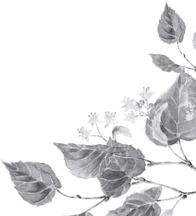 Иллюстрация к книге — Русский лес. С вопросами и ответами для почемучек [_17.jpg]