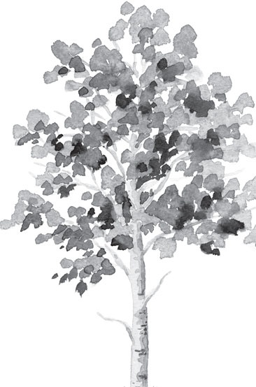 Иллюстрация к книге — Русский лес. С вопросами и ответами для почемучек [_19.jpg]