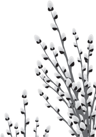 Иллюстрация к книге — Русский лес. С вопросами и ответами для почемучек [_25.jpg]