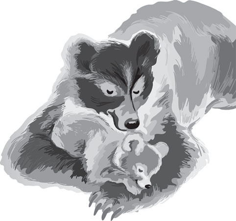 Иллюстрация к книге — Русский лес. С вопросами и ответами для почемучек [_53.jpg]