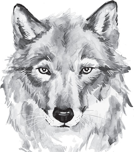 Иллюстрация к книге — Русский лес. С вопросами и ответами для почемучек [_60.jpg]