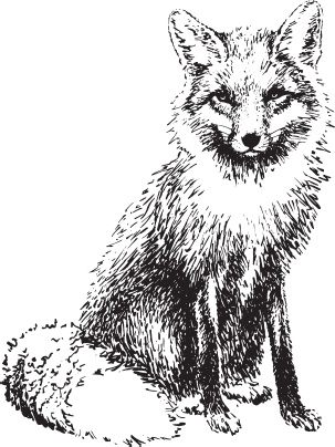 Иллюстрация к книге — Русский лес. С вопросами и ответами для почемучек [_71.jpg]