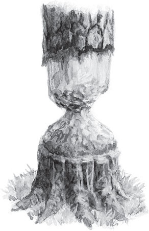 Иллюстрация к книге — Русский лес. С вопросами и ответами для почемучек [_98.jpg]