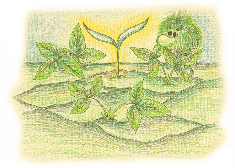 Иллюстрация к книге — Карамельное дерево [i_014.jpg]