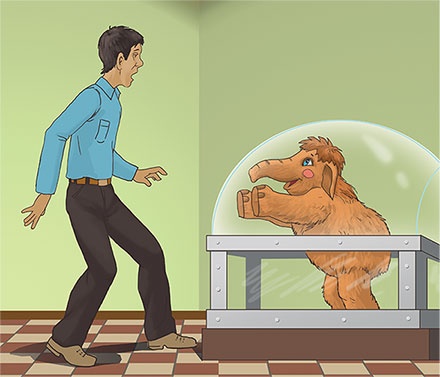 Иллюстрация к книге — Мамонтенок из прошлого [i_033.jpg]