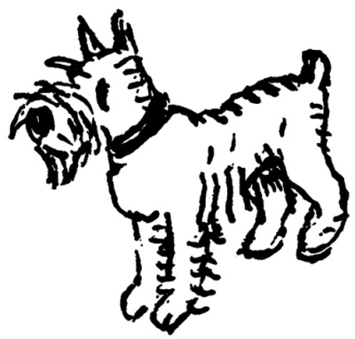 Иллюстрация к книге — И настанет веселое утро [i_015.jpg]