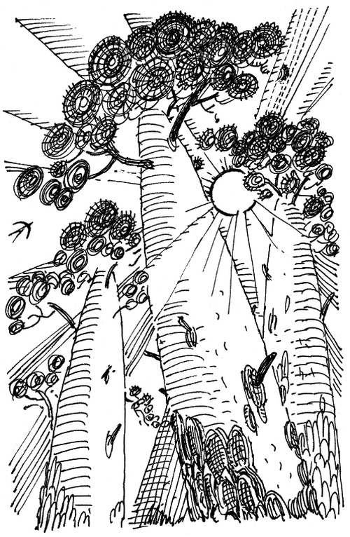 Иллюстрация к книге — И настанет веселое утро [i_017.jpg]