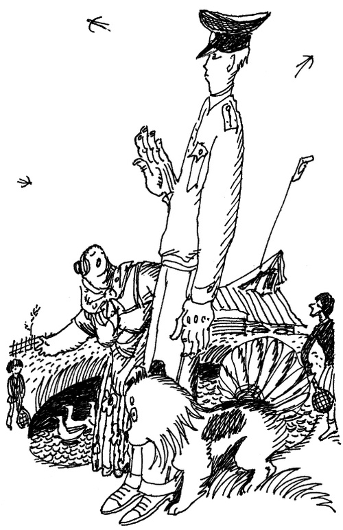 Иллюстрация к книге — И настанет веселое утро [i_043.jpg]