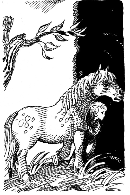 Иллюстрация к книге — И настанет веселое утро [i_053.jpg]