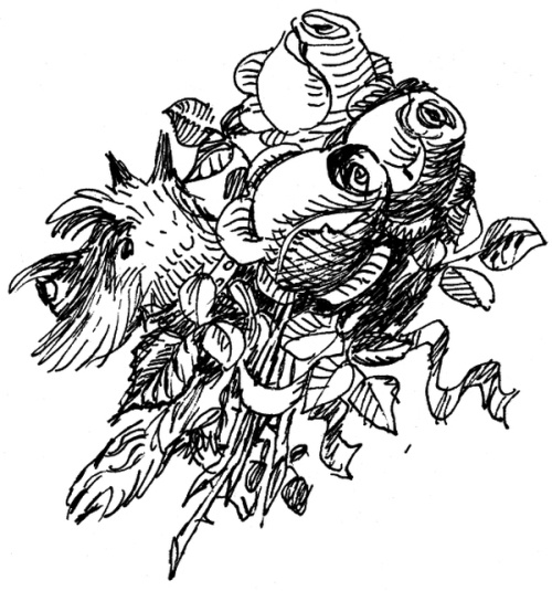 Иллюстрация к книге — И настанет веселое утро [i_072.jpg]