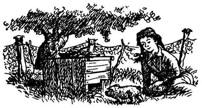 Иллюстрация к книге — Паутинка Шарлотты [i_004.jpg]