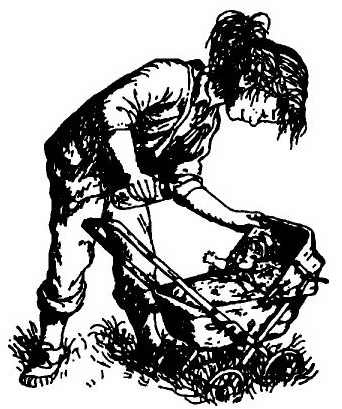 Иллюстрация к книге — Паутинка Шарлотты [i_005.jpg]