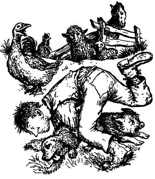 Иллюстрация к книге — Паутинка Шарлотты [i_009.jpg]