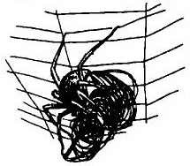 Иллюстрация к книге — Паутинка Шарлотты [i_013.jpg]