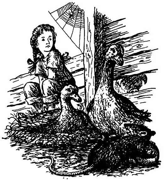 Иллюстрация к книге — Паутинка Шарлотты [i_014.jpg]