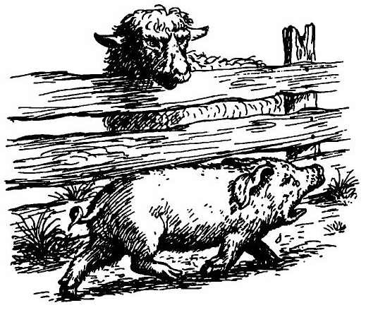 Иллюстрация к книге — Паутинка Шарлотты [i_015.jpg]