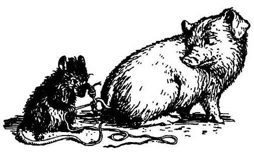 Иллюстрация к книге — Паутинка Шарлотты [i_016.jpg]