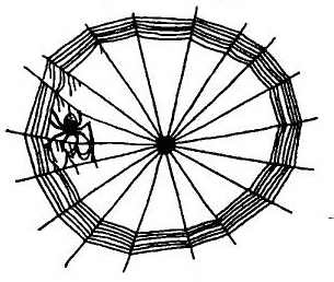 Иллюстрация к книге — Паутинка Шарлотты [i_024.jpg]