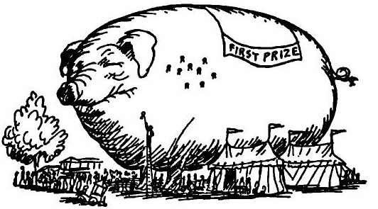 Иллюстрация к книге — Паутинка Шарлотты [i_030.jpg]