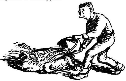 Иллюстрация к книге — Паутинка Шарлотты [i_032.jpg]