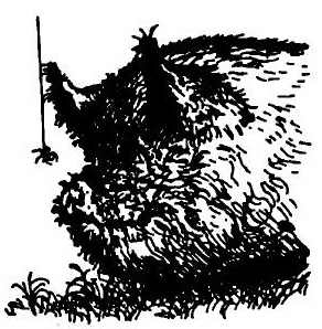 Иллюстрация к книге — Паутинка Шарлотты [i_034.jpg]