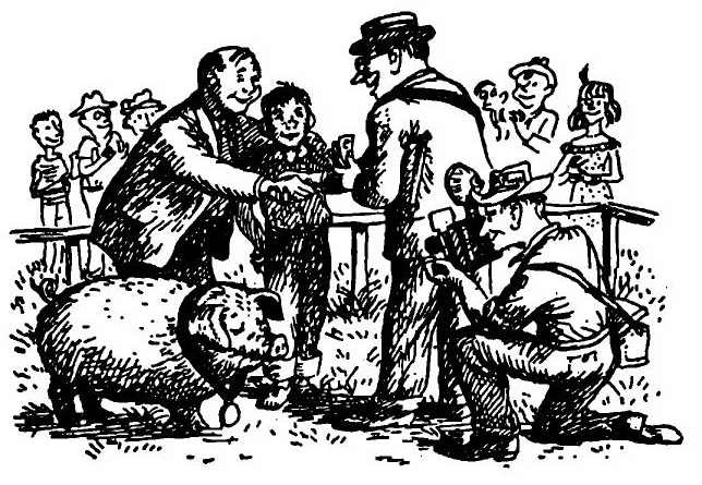 Иллюстрация к книге — Паутинка Шарлотты [i_040.jpg]