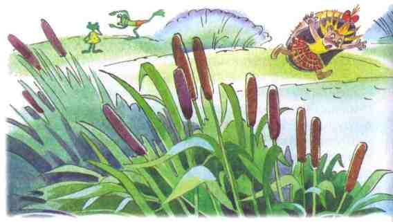 Иллюстрация к книге — Жили-были ежики [i_024.jpg]