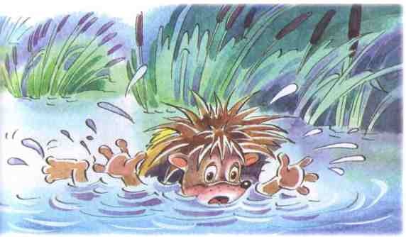 Иллюстрация к книге — Жили-были ежики [i_025.jpg]