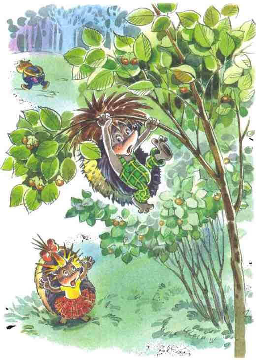 Иллюстрация к книге — Жили-были ежики [i_027.jpg]