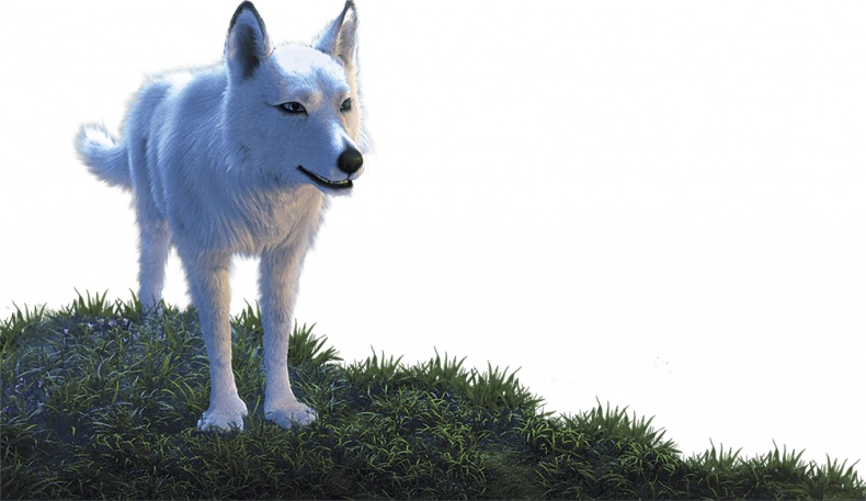 Иллюстрация к книге — Савва. Сердце воина [i_023.jpg]