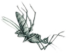 Иллюстрация к книге — Учитель вранья [i_004.jpg]