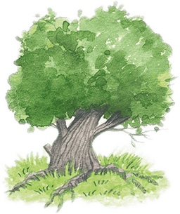 Иллюстрация к книге — Учитель вранья [i_017.jpg]