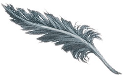 Иллюстрация к книге — Учитель вранья [i_046.jpg]