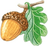 Иллюстрация к книге — Учитель вранья [i_081.jpg]