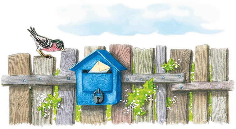 Иллюстрация к книге — Учитель вранья [i_086.jpg]