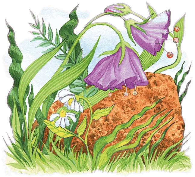 Иллюстрация к книге — Учитель вранья [i_116.jpg]