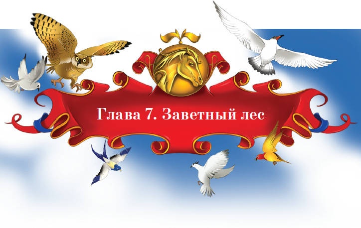 Иллюстрация к книге — Тайна заколдованного леса [i_037.jpg]