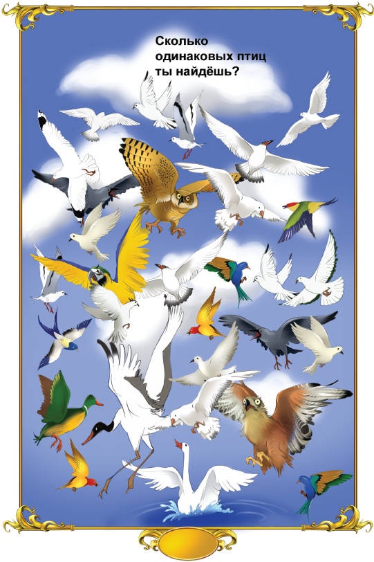 Иллюстрация к книге — Тайна заколдованного леса [i_043.jpg]