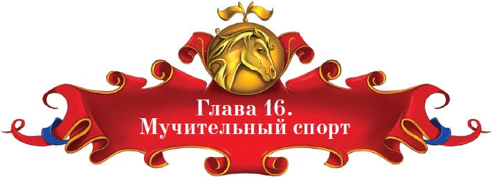 Иллюстрация к книге — Тайна заколдованного леса [i_068.jpg]