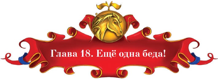 Иллюстрация к книге — Тайна заколдованного леса [i_073.jpg]